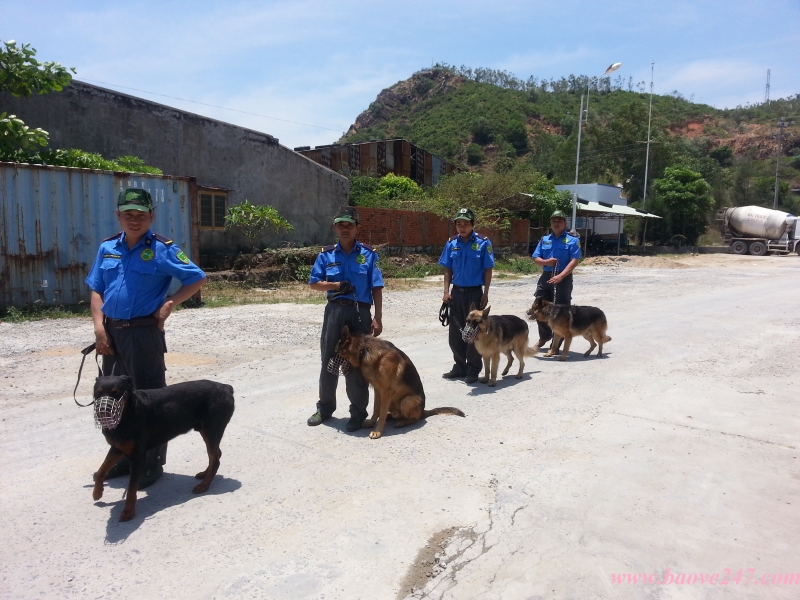 bao gia bao ve o kcn ong keo   dong nai