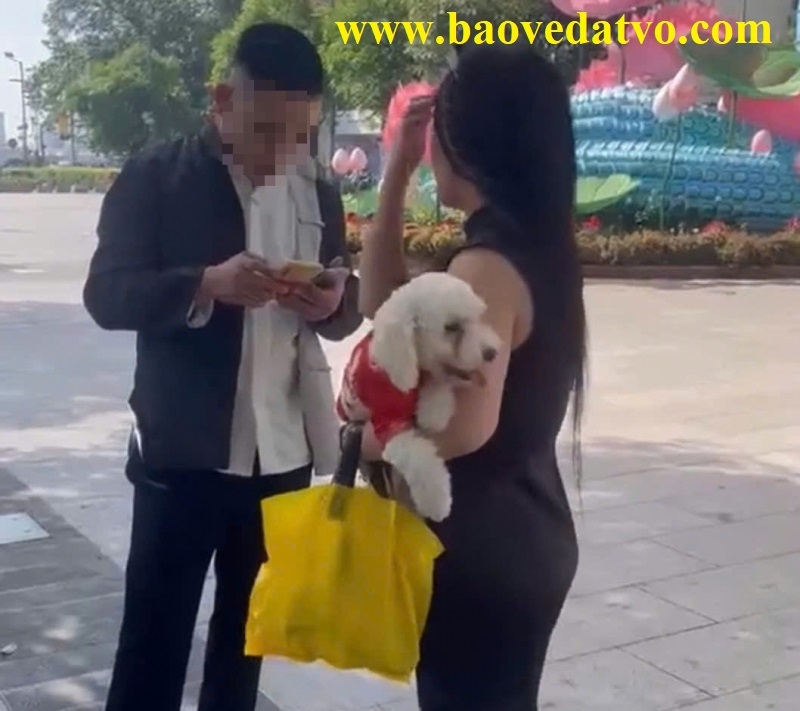 chinh thuc bat giu va khoi to doi voi nam thanh nien danh nhan vien bao ve o quan 1
