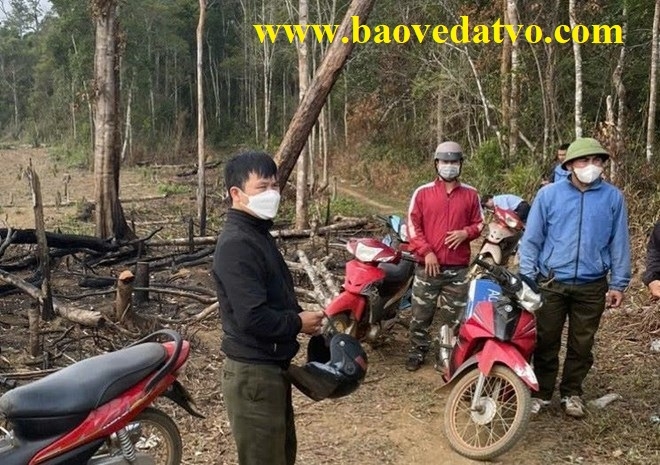 dak nong chi dao xu ly vu hang tram nhan vien bao ve rung bi no luong
