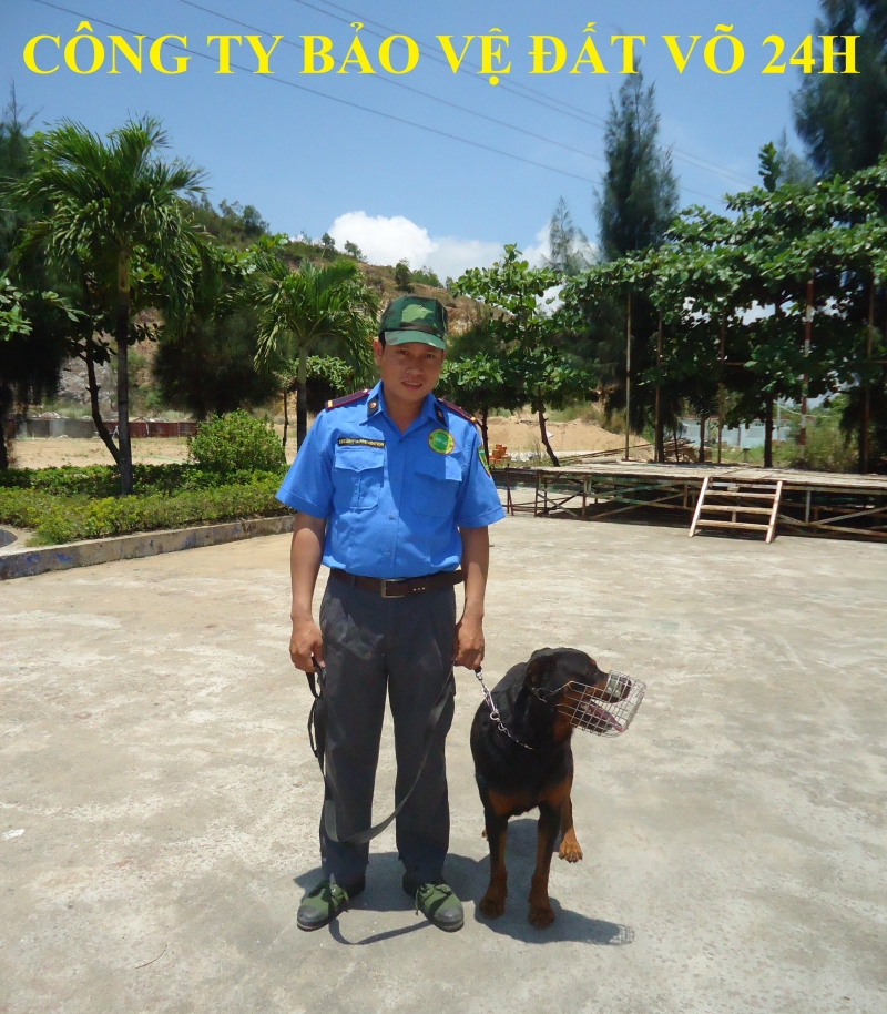 danh ba mot so cong ty bao ve o thua thien hue   datvo 24h security
