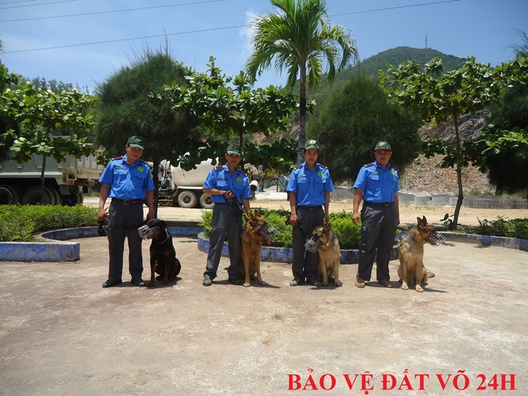 danh ba mot so cong ty bao ve o dien bien   bao ve chat luong