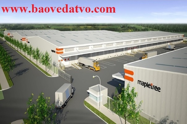 danh ba mot so cong ty dang hoat dong trong khu cong nghiep mapletree   binh duong