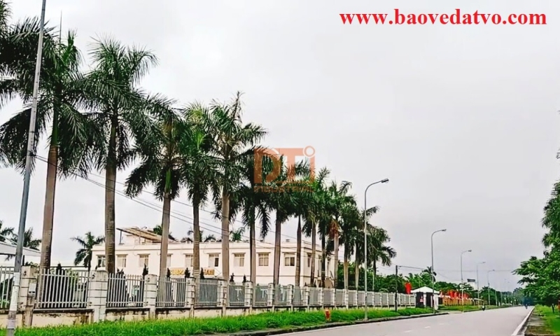 danh ba mot so cong ty dang hoat dong trong khu cong nghiep tan lien   hai phong