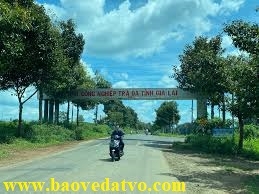 danh ba mot so cong ty dang hoat dong trong khu cong nghiep tra da   gia lai
