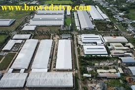danh ba mot so cong ty dang hoat dong trong khu cong nghiep vinh my   an giang