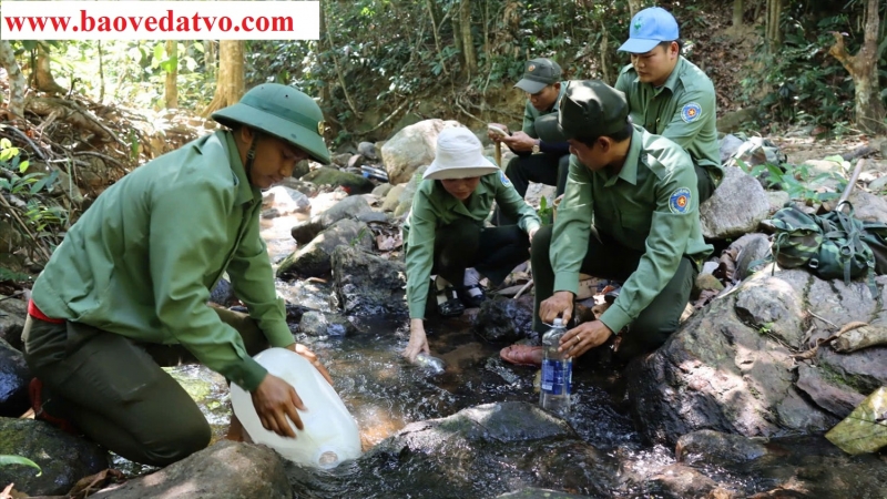 nang han keo dai nhan vien bao ve rung chu mom ray phai gui nuoc suoi ve dung hang ngay