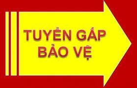 tuyen nhan vien bao ve o vinh long   bao ve chuyen nghiep