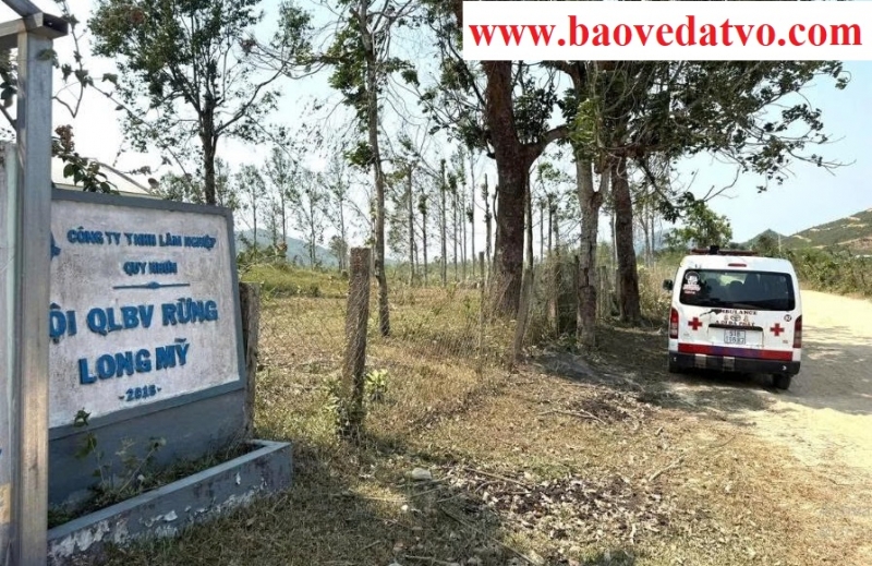 vu tan cong bat ngo tai rung gia lai  ong dot 5 nhan vien bao ve rung 1 nguoi tu vong
